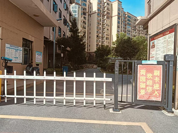 荷園御景 荷園御景